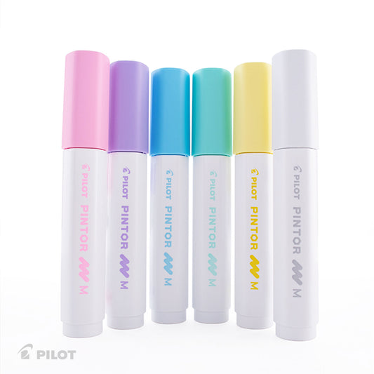 Set Pintor Pastel Punta Media 6 un.